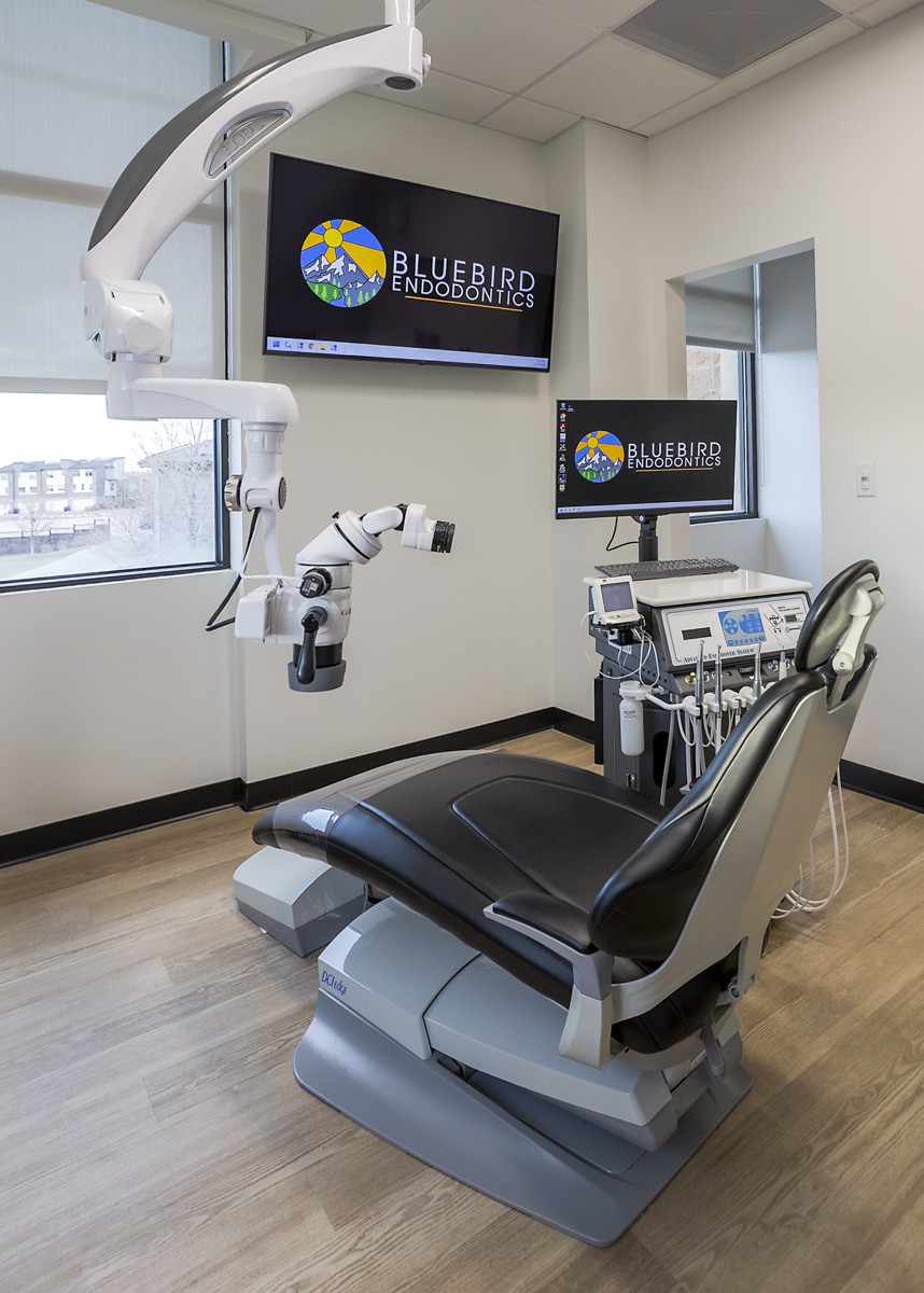 Bluebird Endo Testimonials